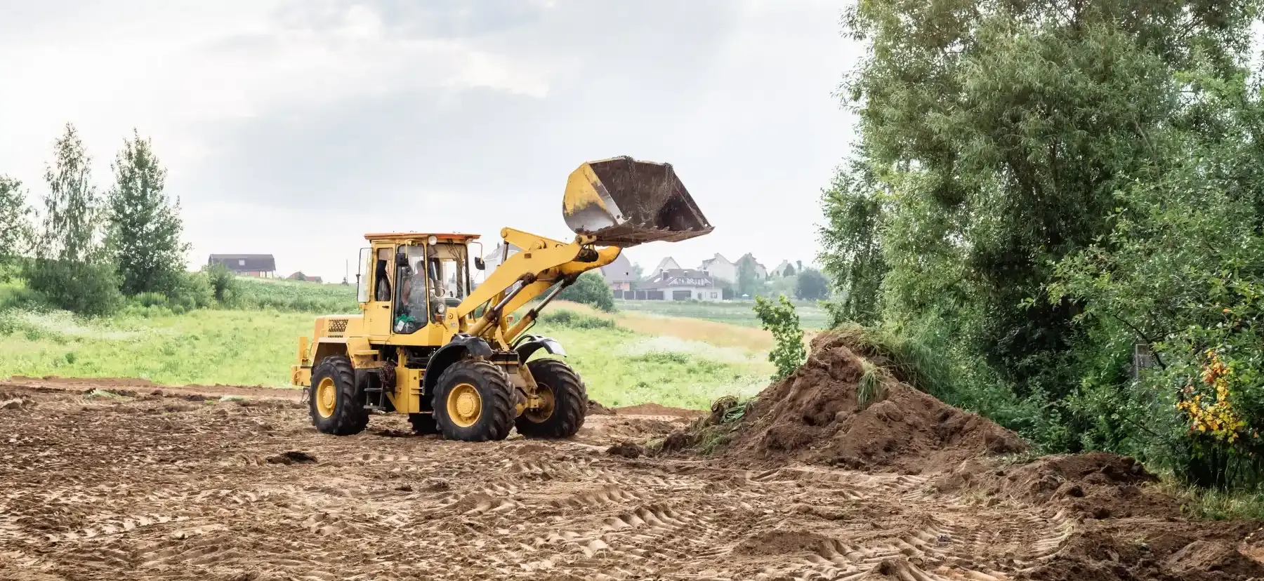 Green to Clean: Navigating Land Clearing in Austin, TX